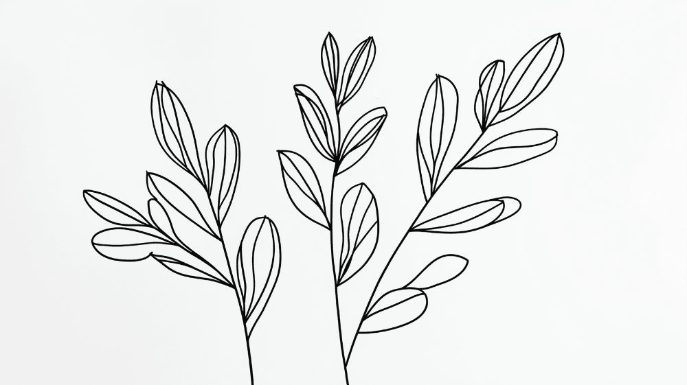 Black and white botanical line art design file showing delicate hand-drawn leaf pattern
