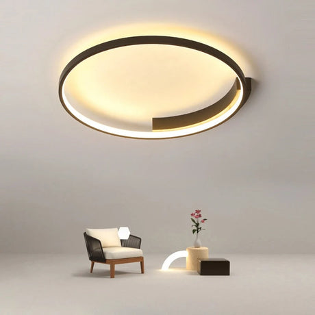 Modern LED Ceiling Light  Circular Ring Design With Warm Glow - Product showcase