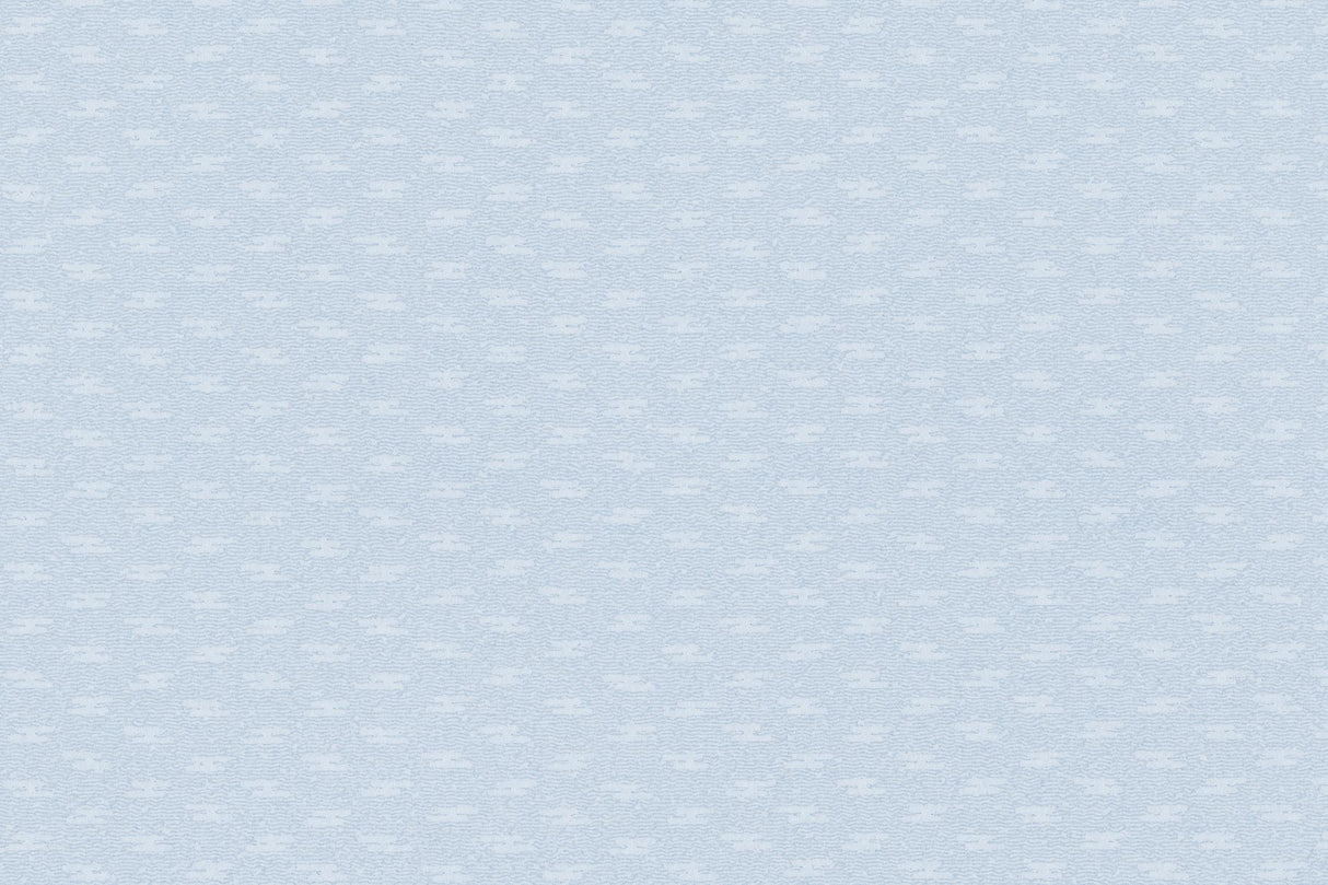 Design file showing detailed light blue textured pattern with subtle surface variations
