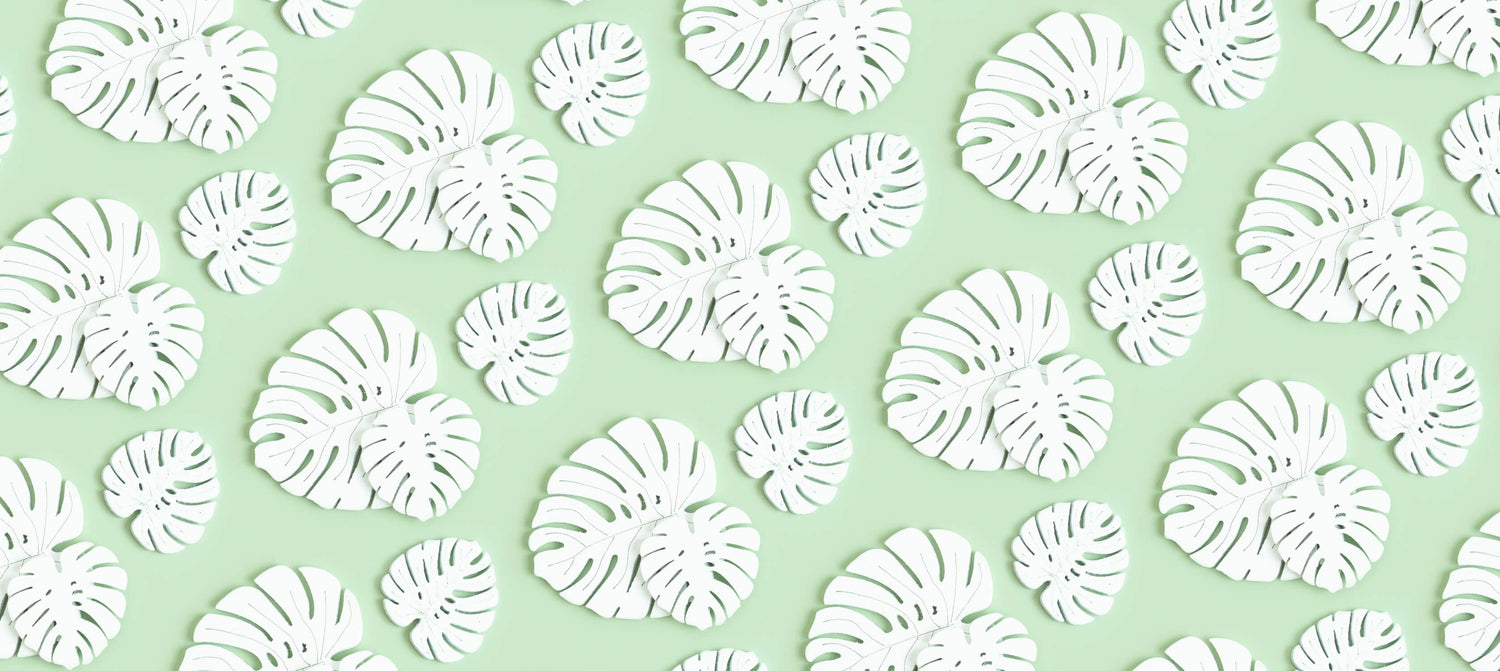 Design file showing white Monstera leaf pattern on mint green background