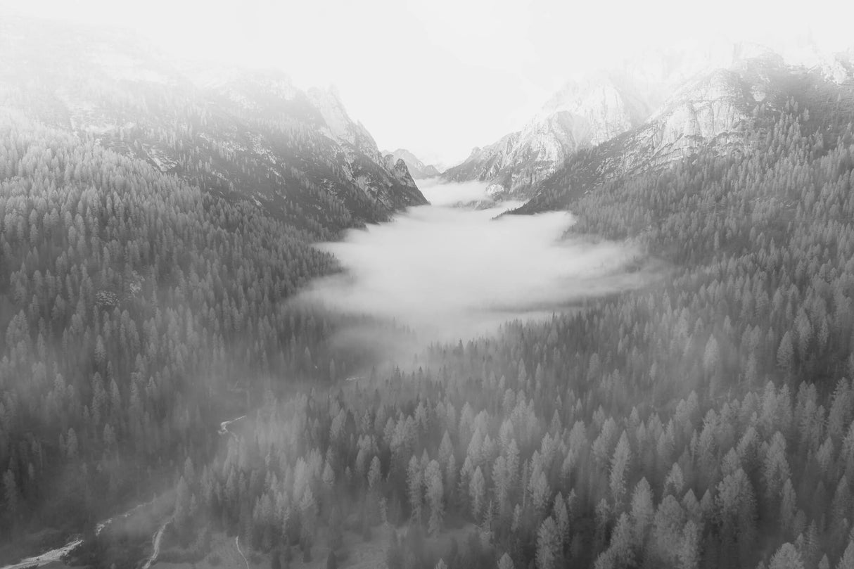 Mountain mist design file showing detailed black and white landscape pattern with fog effects