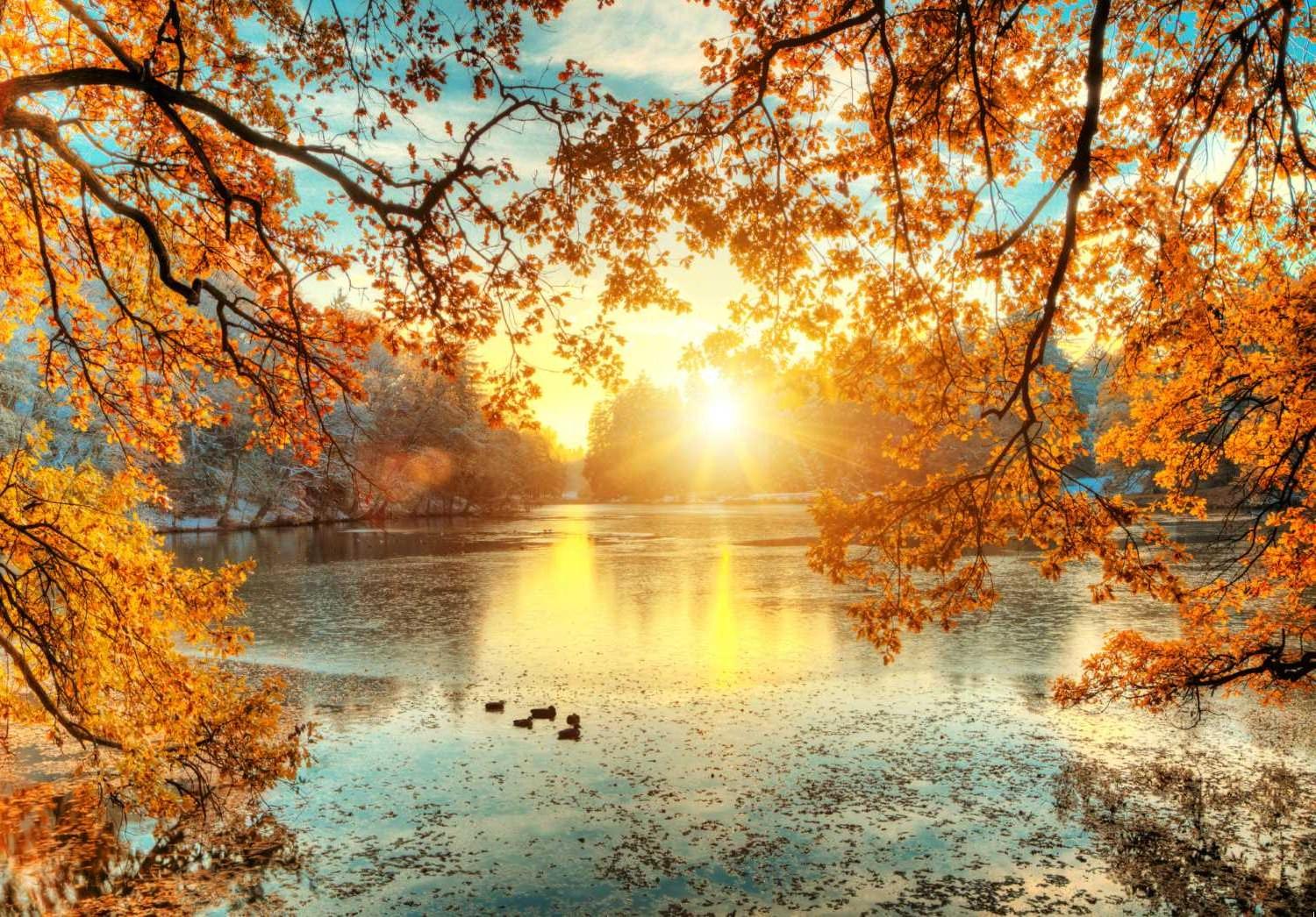 Autumn lake sunset wallpaper design file showing detailed nature scene with mirror-like water reflections