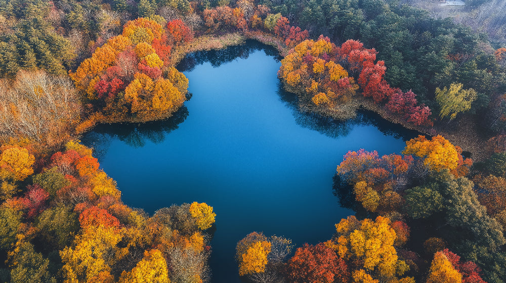 Autumn lake wallpaper design file with vibrant fall colors and mirror-like water reflections