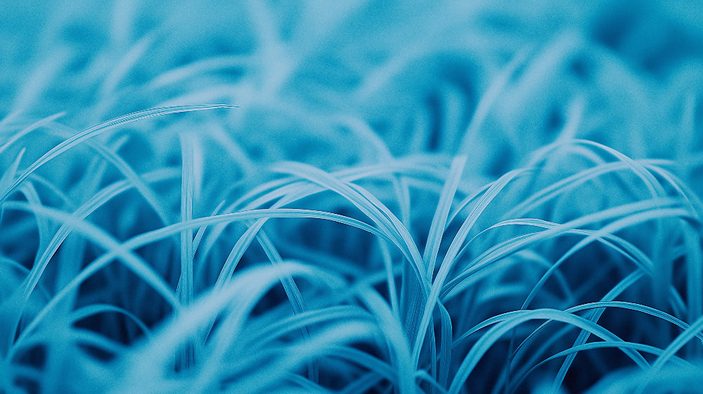 Blue grass abstract wallpaper design file showing intricate botanical pattern detail