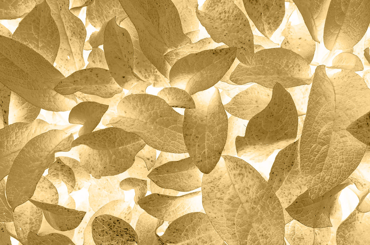 Design file showing detailed golden leaf pattern and natural textures
