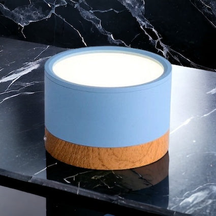 Modern LED Ceiling Spot Aluminum Surface Mount Light - Product detail 6