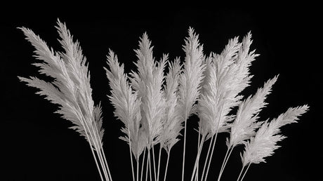 Botanical pampas grass design file showing detailed black and white pattern
