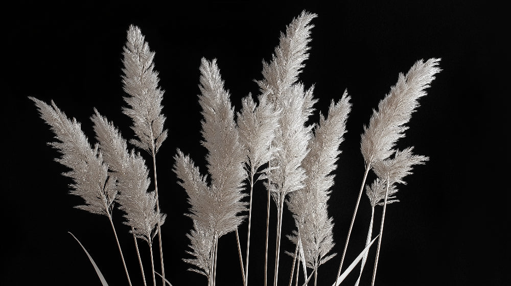 Black and white pampas grass wallpaper design file showing detailed feather pattern