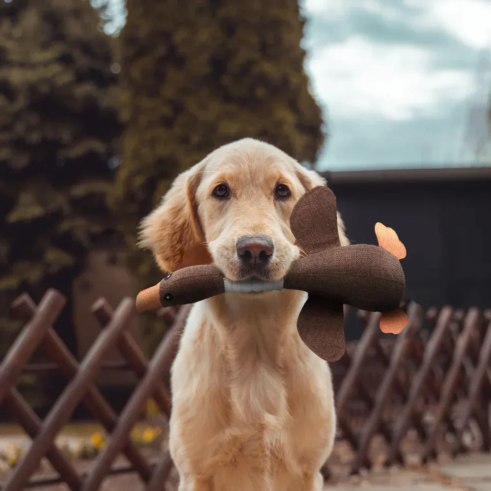 Interactive Dog Duck Toy  Durable Fabric Design - Product example