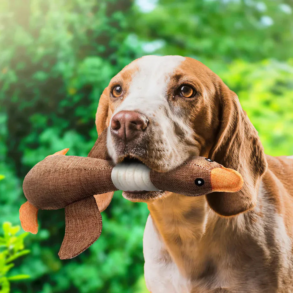 Interactive Dog Duck Toy  Durable Fabric Design - Detailed view