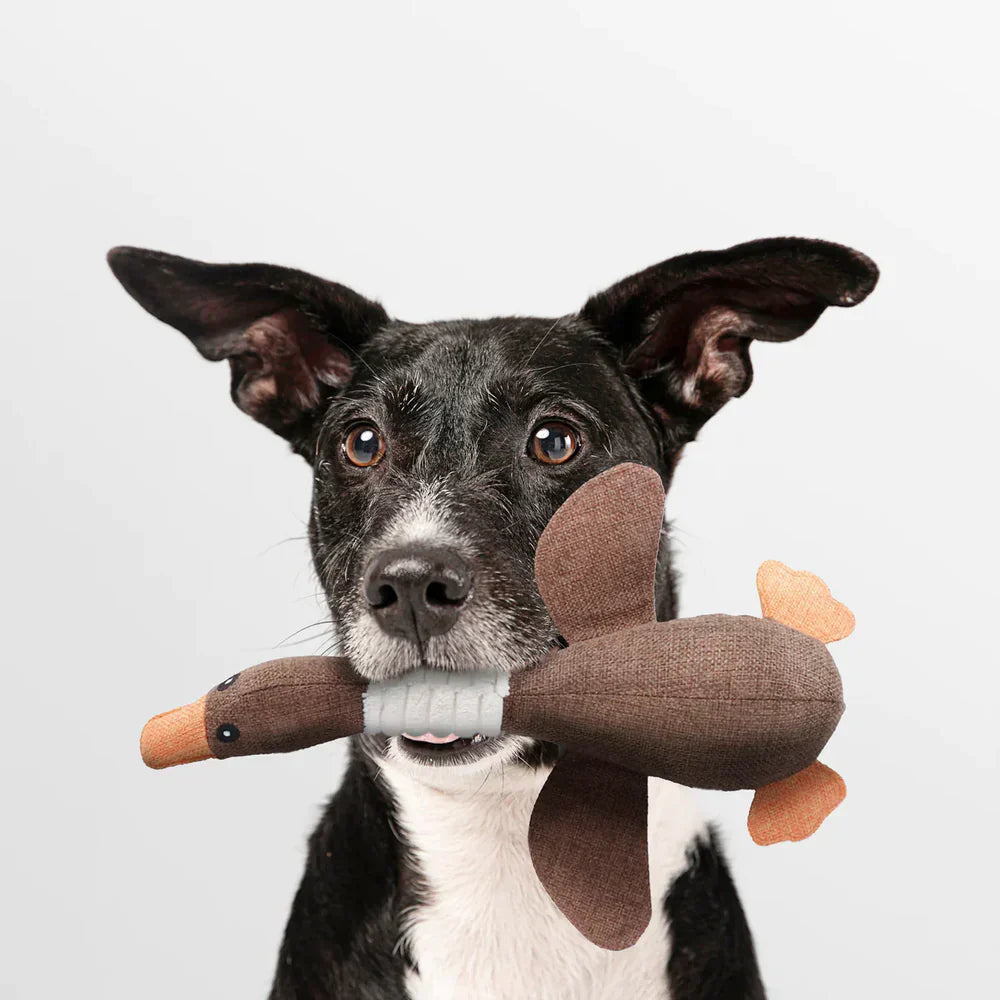Interactive Dog Duck Toy  Durable Fabric Design - Product detail 4