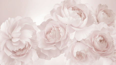 Pink Peony Wallpaper design file showing detailed floral pattern with soft pink blooms