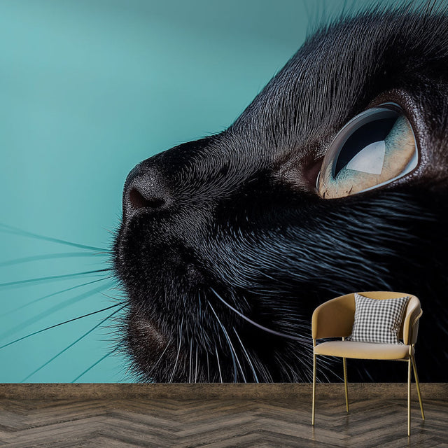 Black cat portrait wall mural creating dramatic impact in a modern living room with turquoise accents