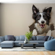 Border Collie 3D wallpaper mural bringing life to a modern living room with white furniture and natural light