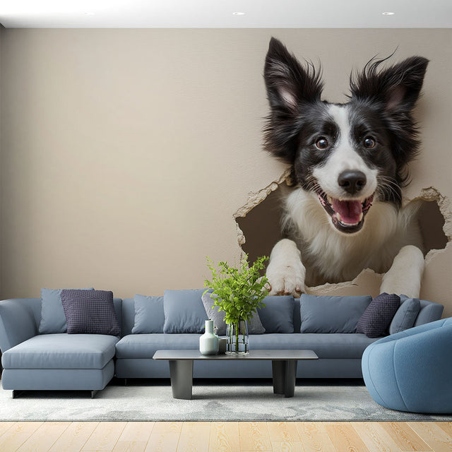 Border Collie 3D wallpaper mural bringing life to a modern living room with white furniture and natural light