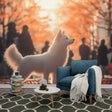 Pet portrait wallpaper featuring white dog shown in modern living room, golden autumn light streaming through windows