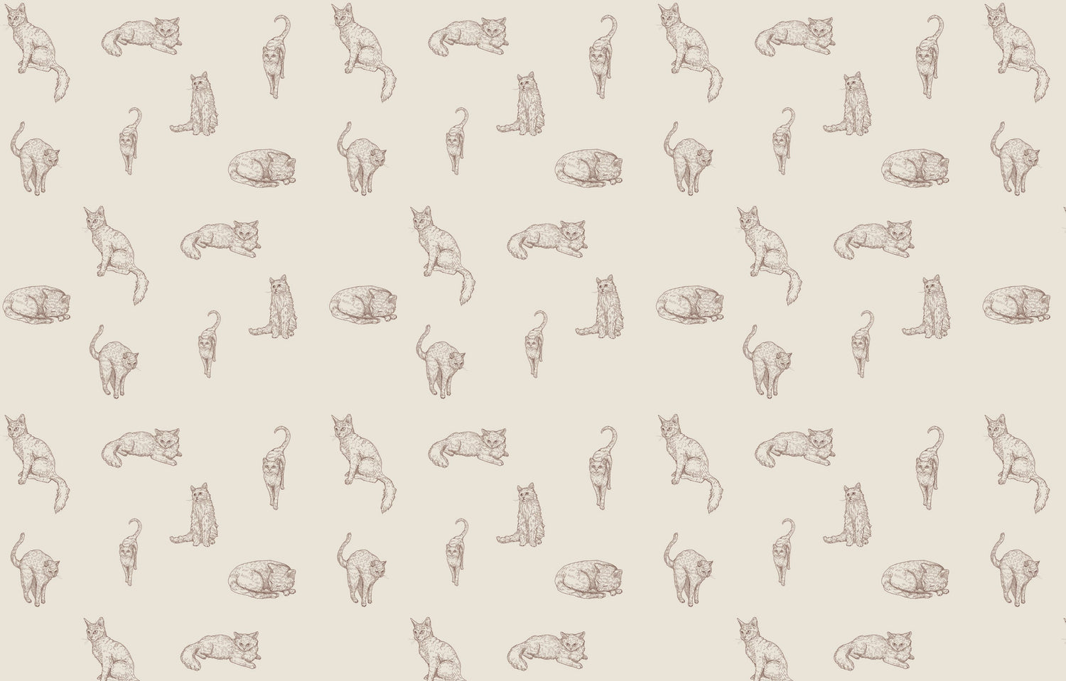 Hand-sketched cat pattern design file showing detailed feline illustrations in soft brown tones