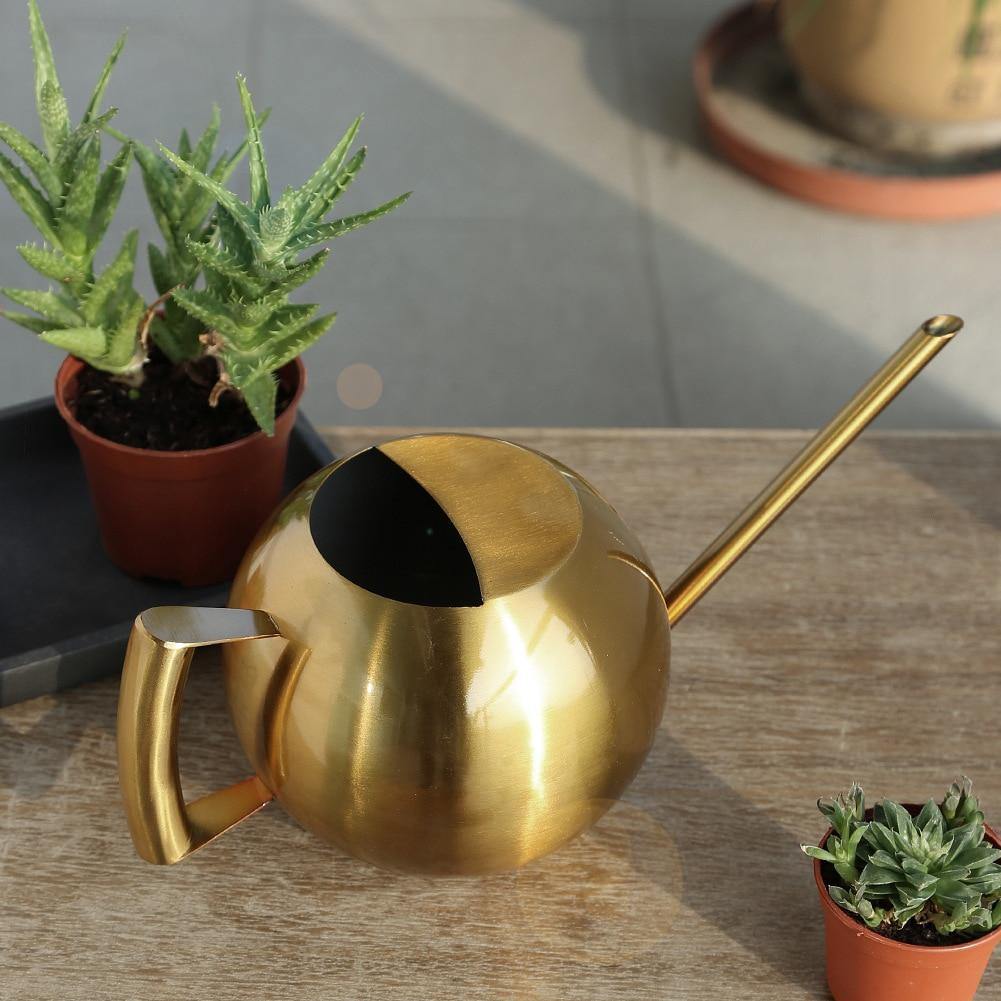 Modern Plant Watering Can Brass Finish Stainless Steel Design - Product example