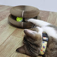 Interactive Cat Scratcher Toy  Collapsible Play Ring With Ball - Product showcase