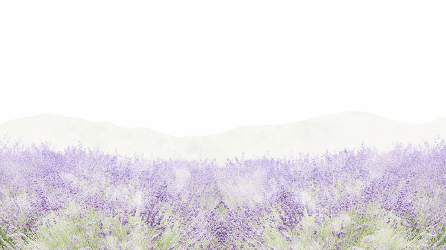 Lavender field wallpaper mural creating a peaceful atmosphere in a modern living room with natural light
