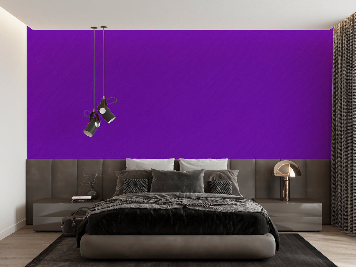 Contemporary purple wall design making a statement in an entrance hall