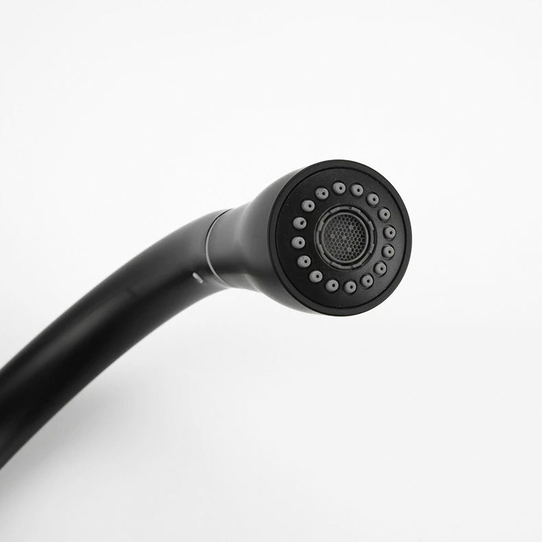 Modern Kitchen Faucet Matte Black Pull-Down Sprayer - Product example