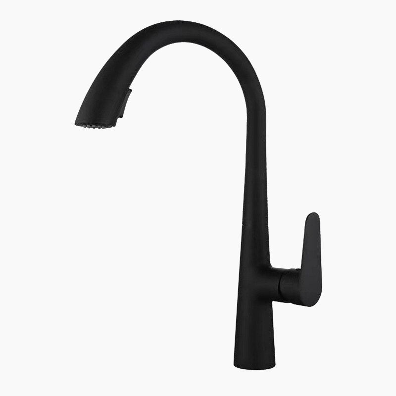 Black Kitchen Faucet Pull-Down Spray Head Gooseneck Design - Product showcase
