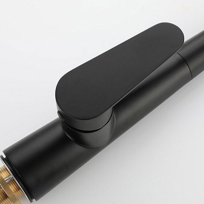 Black Kitchen Faucet Pull-Down Spray Head Gooseneck Design - Product detail 5