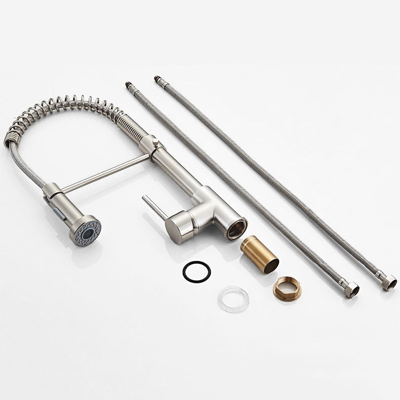 Professional Kitchen Faucet Pull-Down Spray Head With Brushed Steel Finish - Detailed view