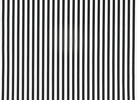 Design file of black and white striped pattern showing precise line work and clean geometry