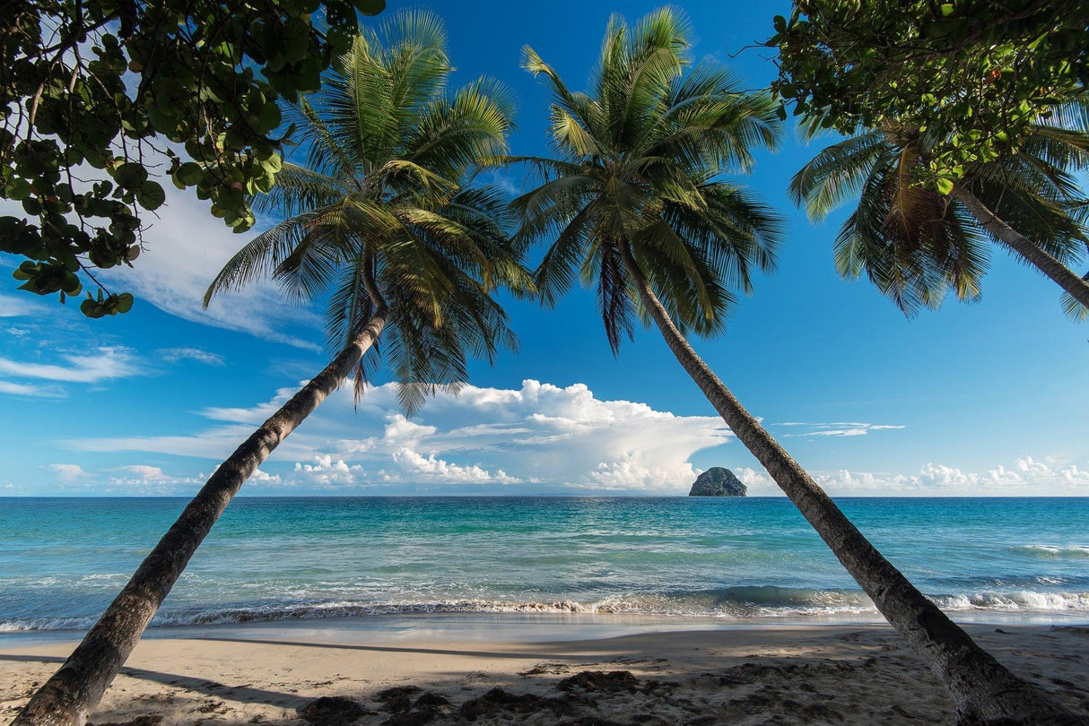 Tropical beach paradise design file showing detailed palm trees and turquoise ocean pattern