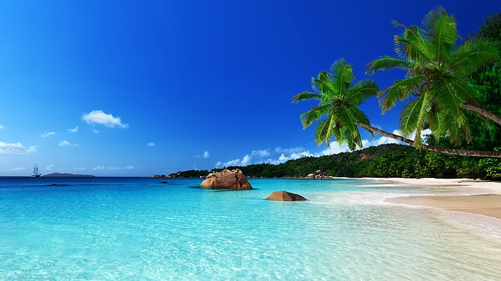 High-resolution beach paradise design file showing turquoise waters and palm trees in detail