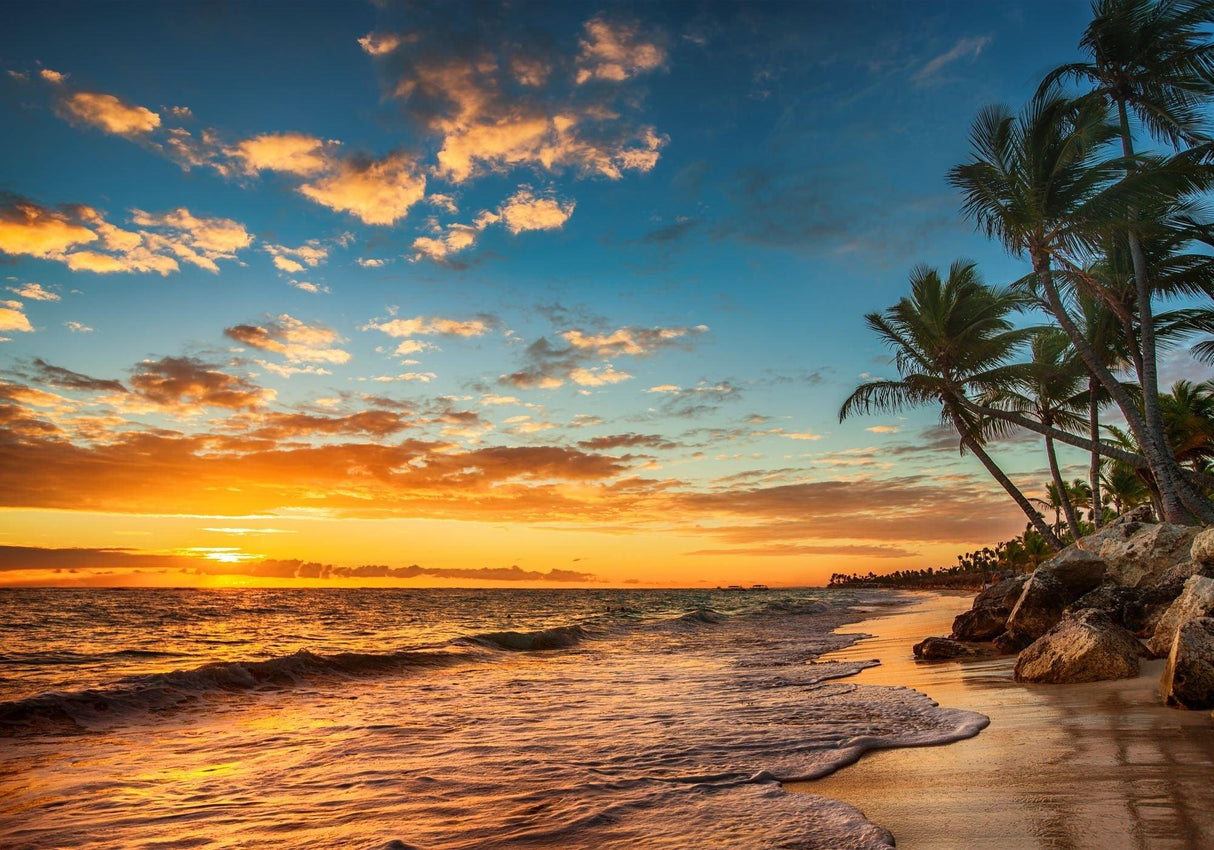 High-resolution design file of paradise beach sunset with palm trees silhouettes and golden sky