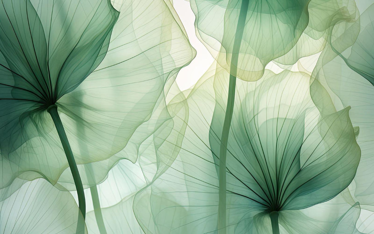 Tropical leaf wallpaper design file showing detailed botanical pattern and translucent effect