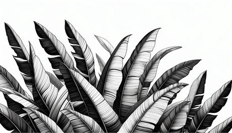 Black and white banana leaf wallpaper design file showing detailed botanical pattern