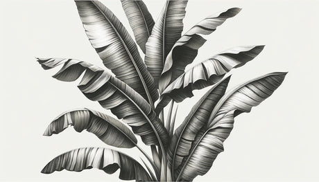 Black and white banana leaf wallpaper design file showing detailed botanical pattern