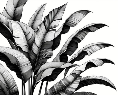 Black and white banana leaves wallpaper design file showing detailed botanical pattern
