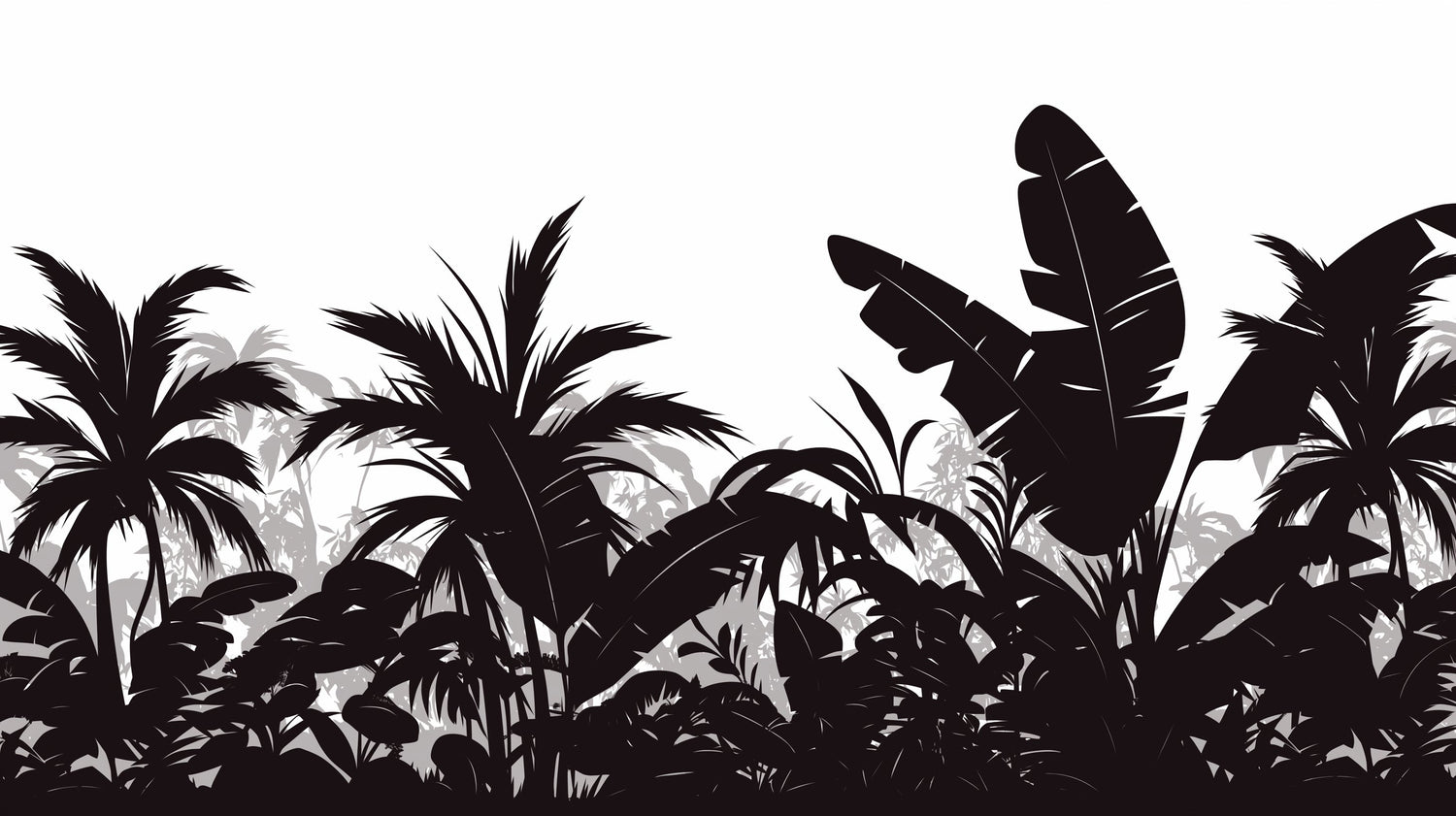 Black and white tropical jungle wallpaper design file showing detailed palm and leaf silhouettes