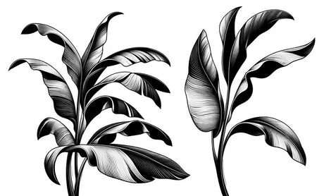 Black and white tropical leaf pattern design file showing detailed line art of banana leaves