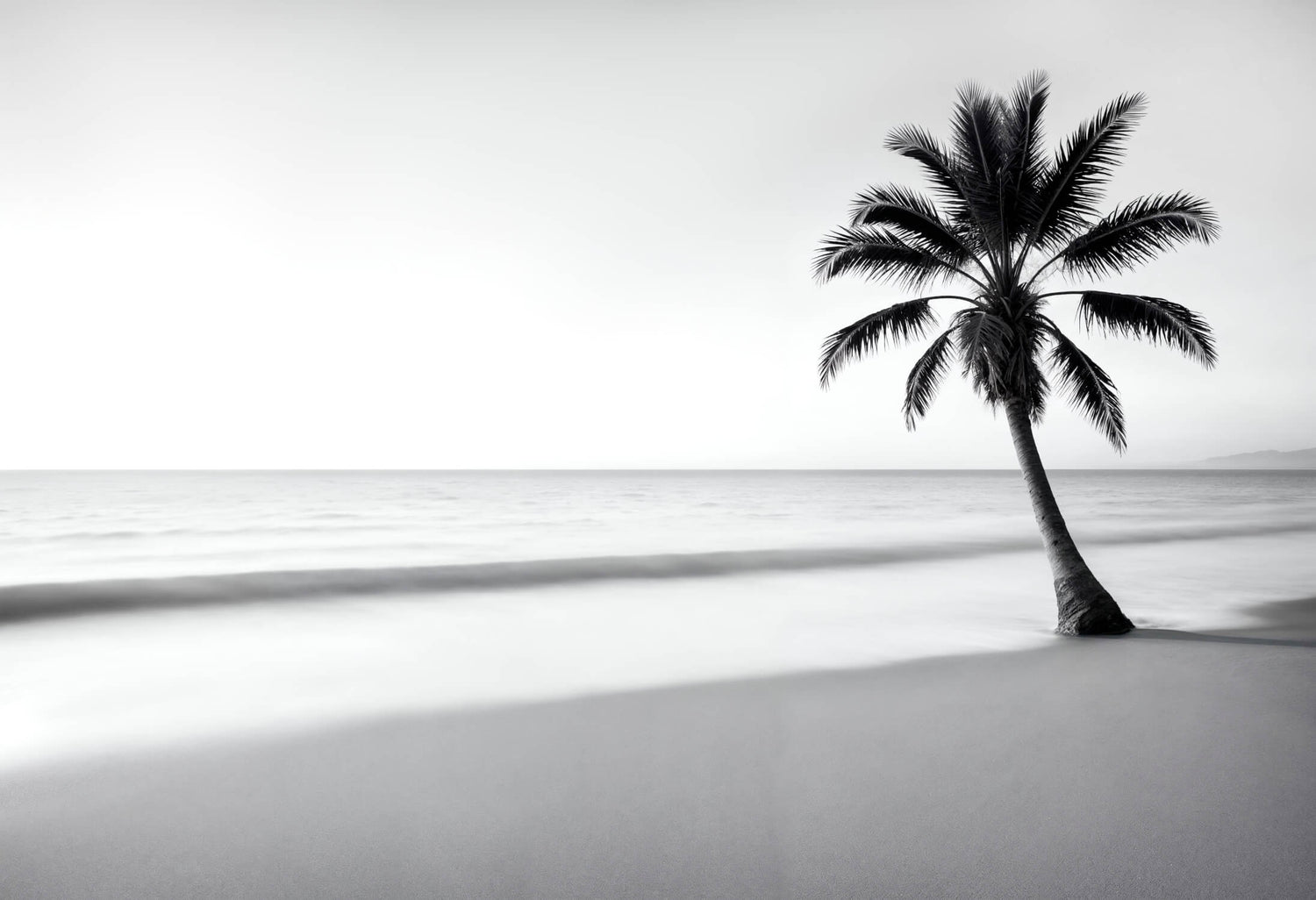 High-resolution design file showing detailed palm tree and beach pattern in black and white
