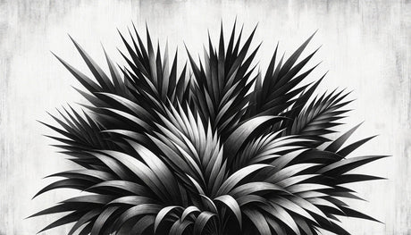 Black and white palm leaves design file showing detailed botanical pattern and sharp contrast