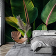 Tropical banana leaf wallpaper mural creating a stunning accent wall in modern living room with natural light