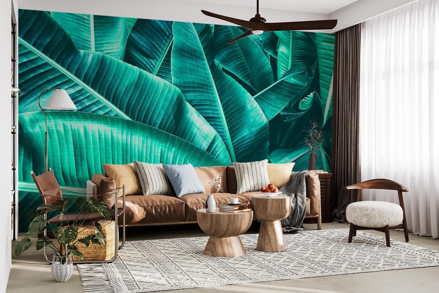 Tropical leaf wallpaper in modern living room showing large banana leaves against white walls