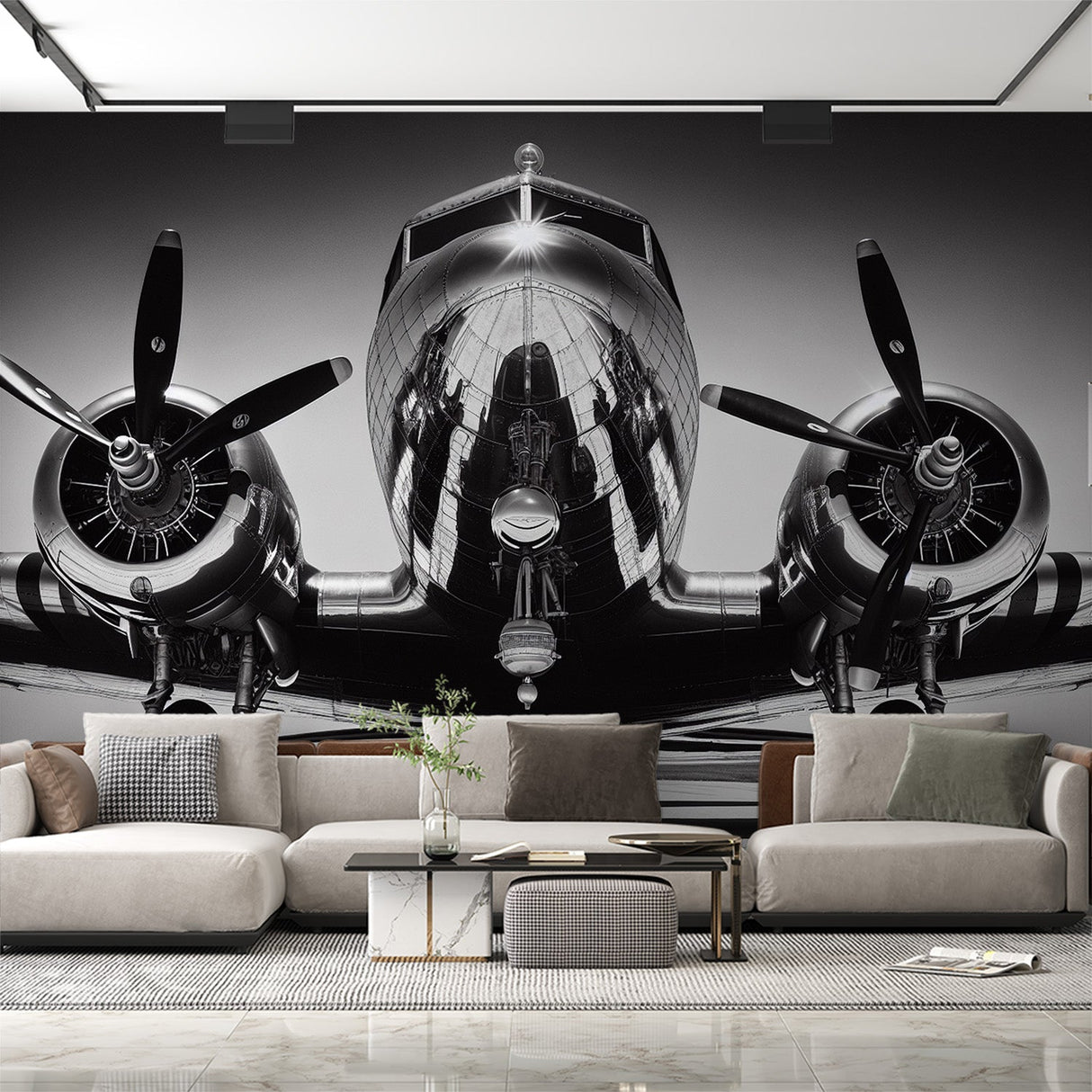 Black and white vintage aircraft mural wallpaper creating dramatic impact in a modern industrial home office