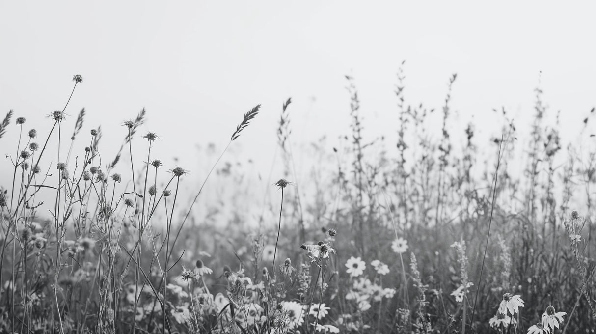 Black and white prairie wildflower design file showing intricate botanical pattern detail