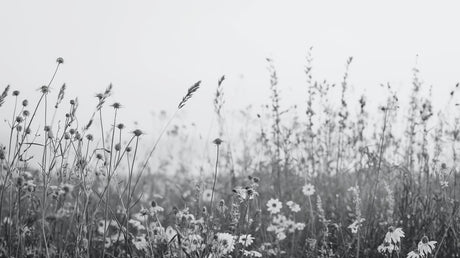 Black and white prairie wildflower design file showing intricate botanical pattern detail