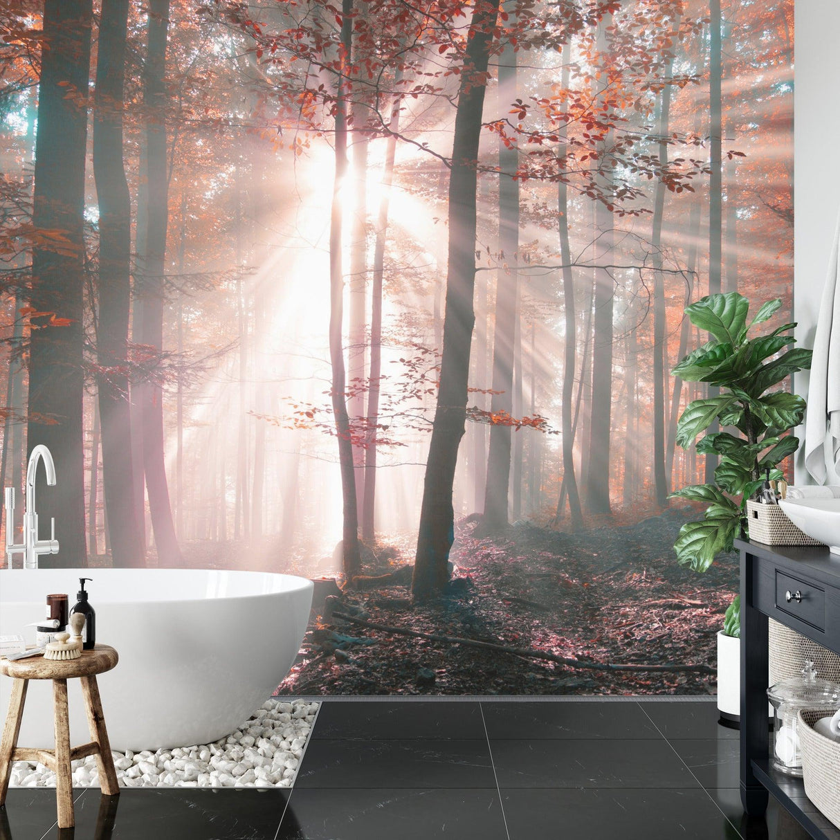 Forest Mural Wallpaper | Misty Autumn Sunrise Scene