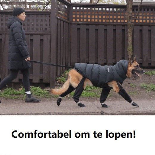 Protective Dog Boots  All-Weather Paw Guards - Product detail 5