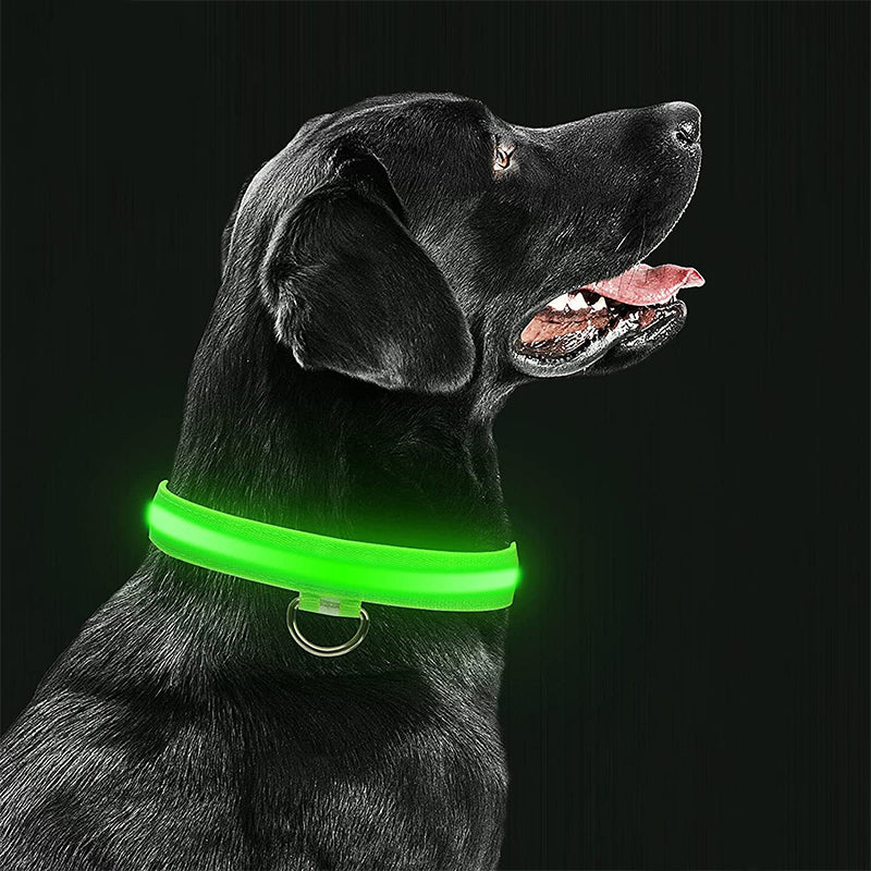 LED Pet Safety Collar  Rechargeable Night Visibility Design - Detailed view