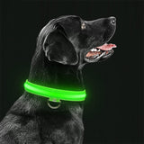 LED Pet Safety Collar  Rechargeable Night Visibility Design - Detailed view